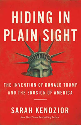 Hiding in Plain Sight book cover