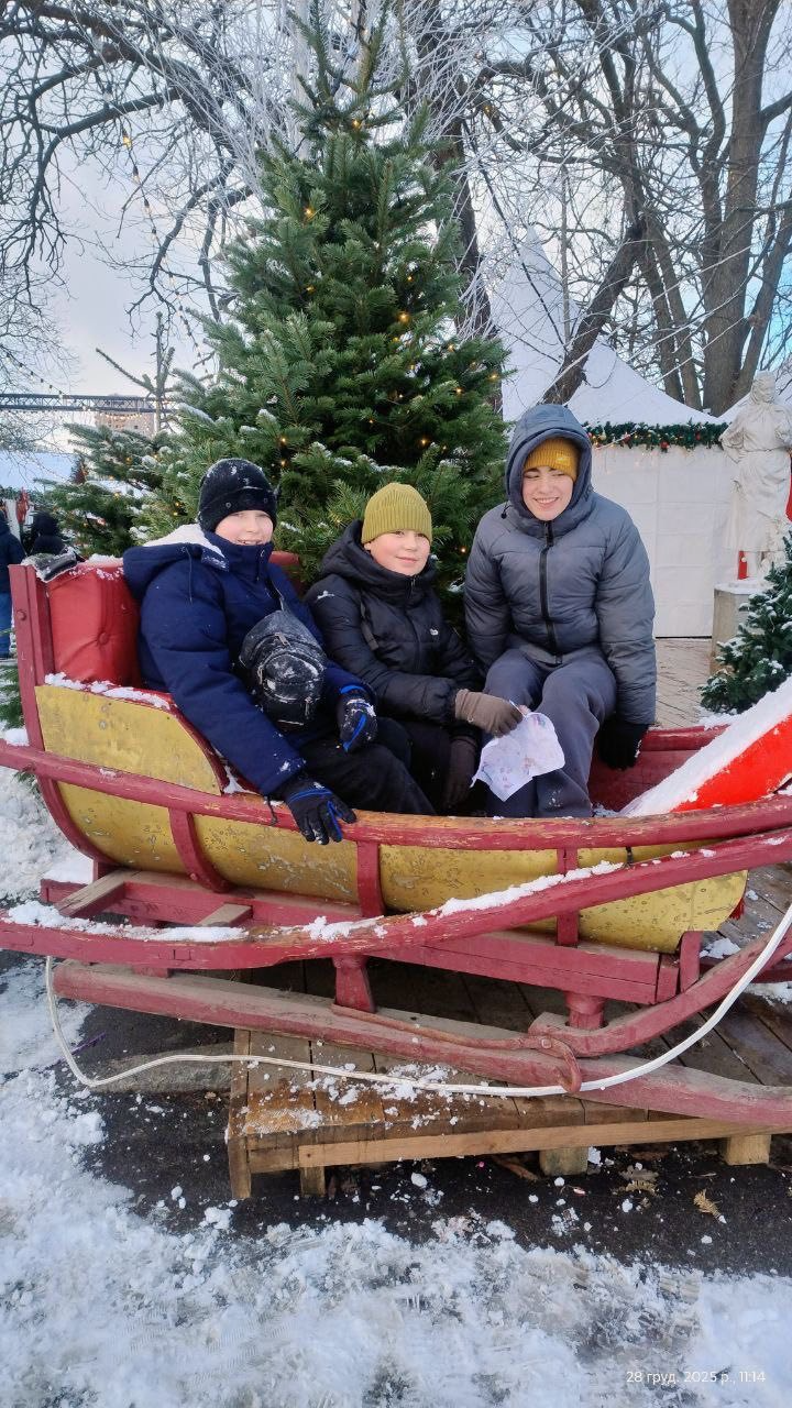 На зображенні може бути: ялинка