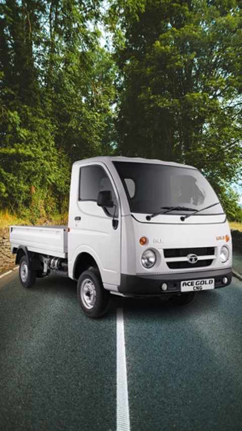 Chhota Hathi best mini trucks in India