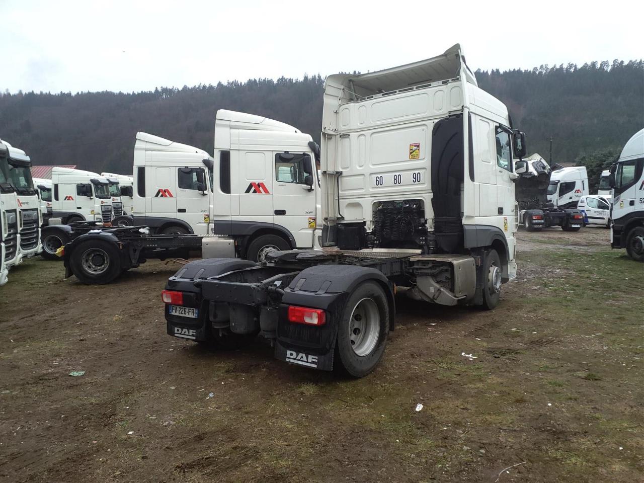 DAF FT XF480 4X2 null