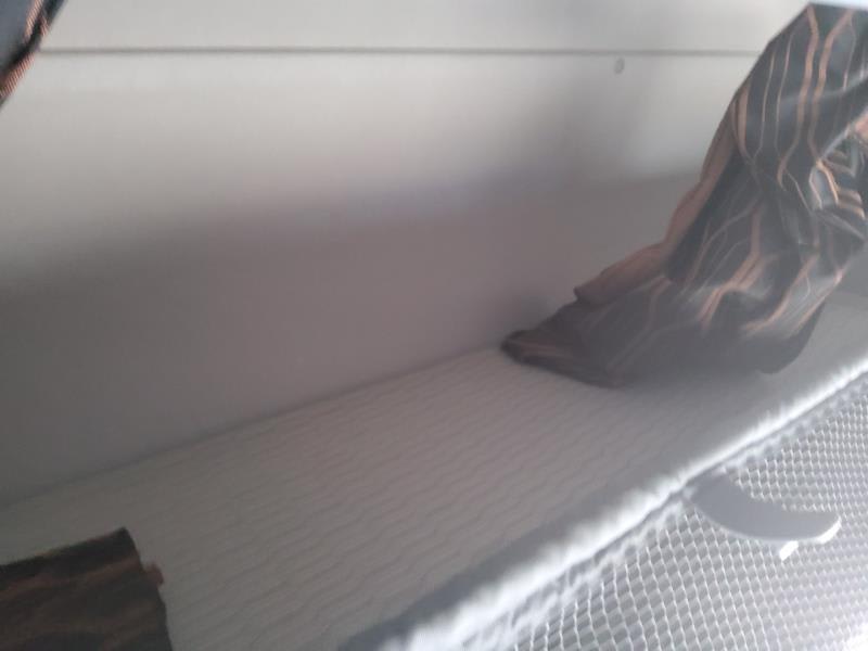 DAF XF 480 FT 4X2 null