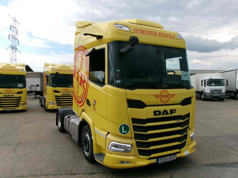 DAF XFn 480 FT 4X2 LOW DECK null