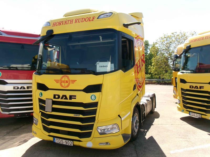 DAF XFn 480 FT 4X2 LOW DECK null