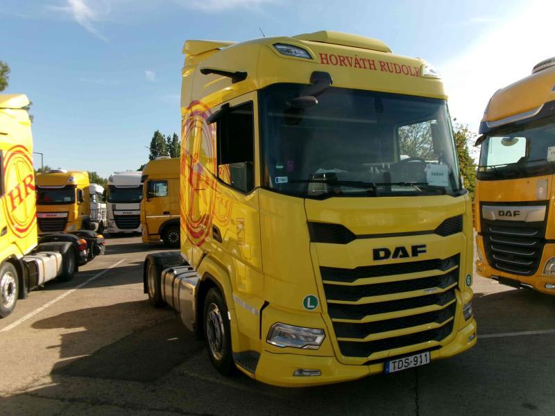 DAF XFn 480 FT 4X2 LOW DECK null