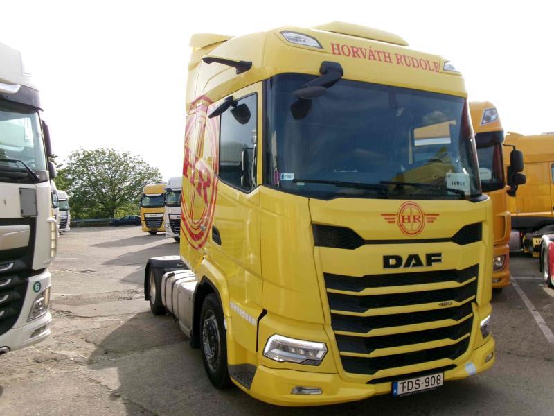 DAF XFn 480 FT 4X2 LOW DECK null