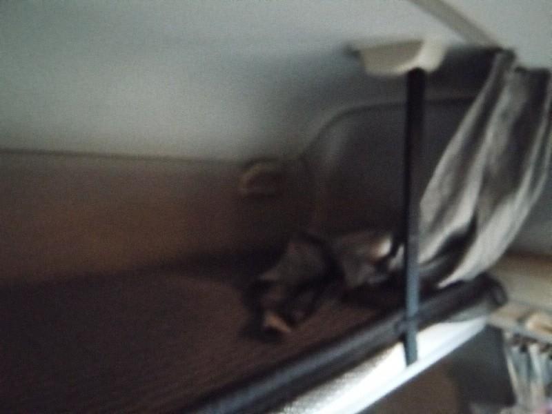 DAF XG 480 FT 4X2 null