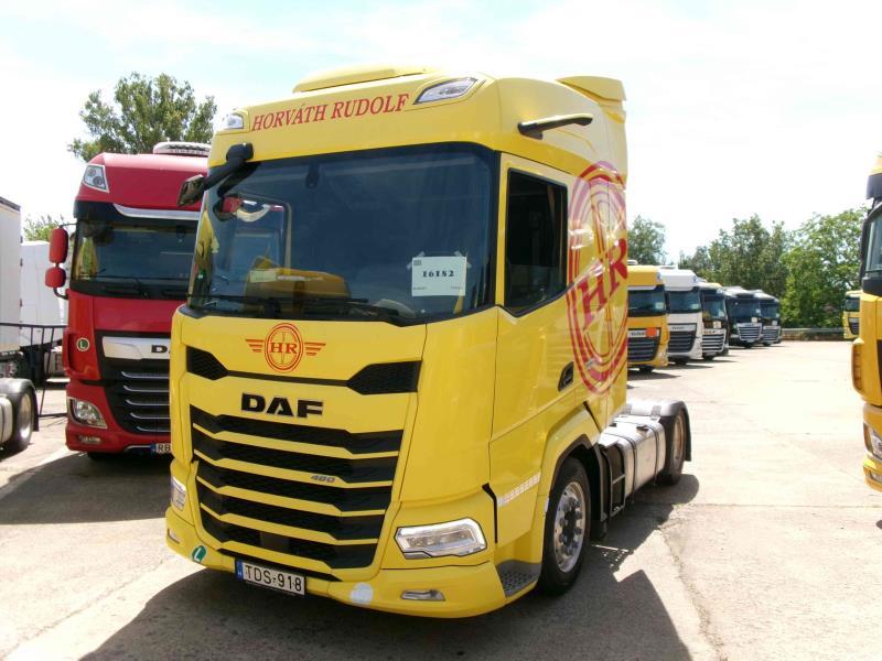 DAF XFn 480 FT 4X2 LOW DECK null
