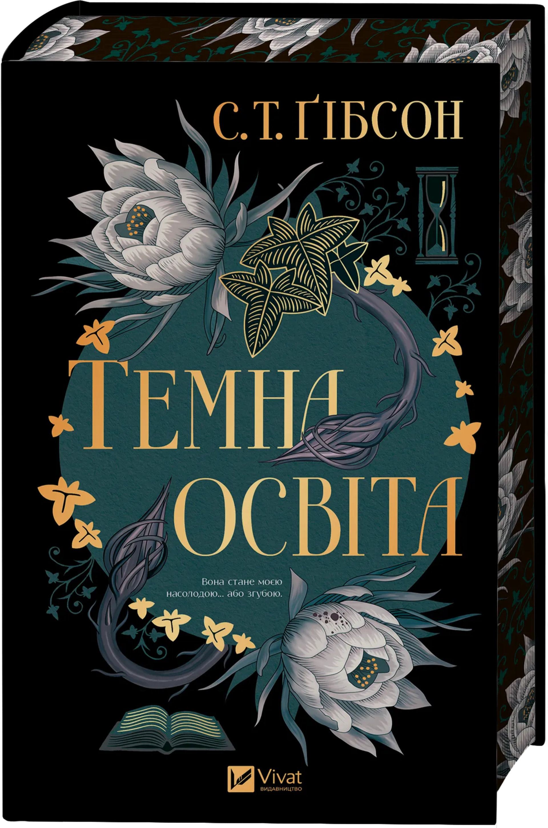 Темна освіта