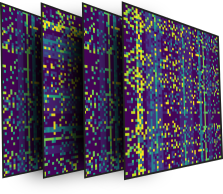 Heatmaps