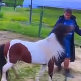 Videoja që ndezi rrjetin: Ilir Shaqiri kritikohet pasi godet ponin...