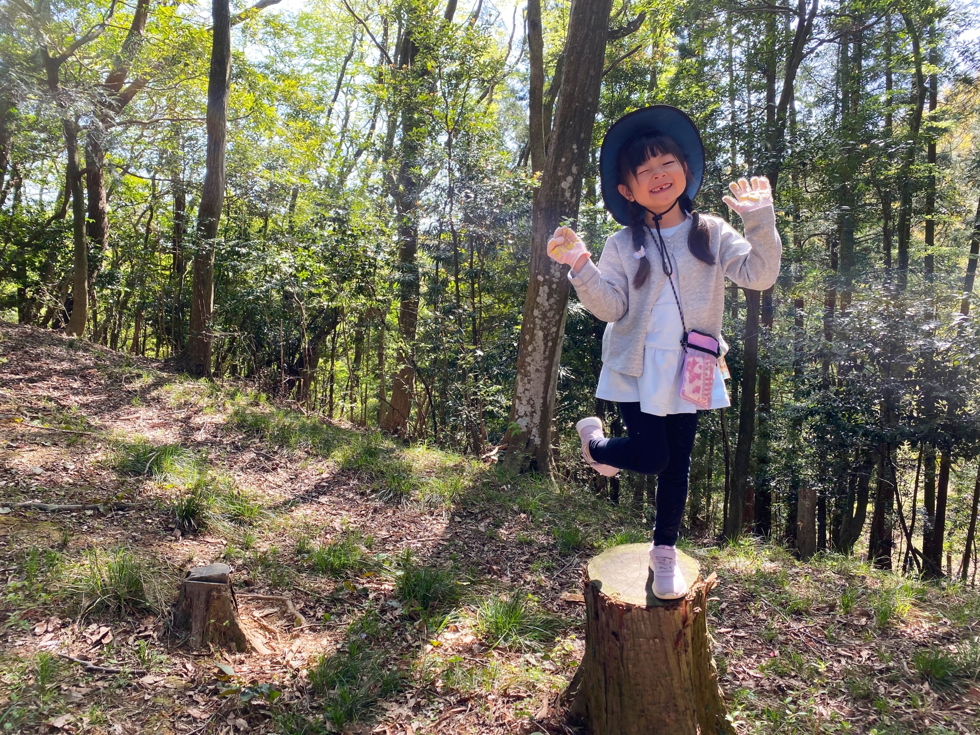 豊富なサイズ