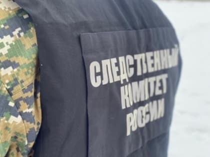 Рецидивист задержан за избиение девушки-фельдшера в свердловском городе