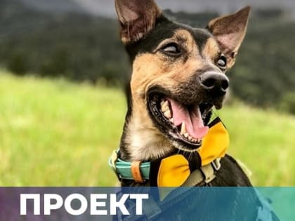 Второй этап конкурса  с  целью формирования кадрового резерва  старшей группы должностей    государственной гражданской службы  в  Арбитражн