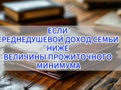 СОЦИАЛЬНОЕ ПОСОБИЕ МАЛОИМУЩИМ