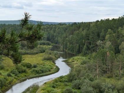 Активное участие уральцев в жизни региона