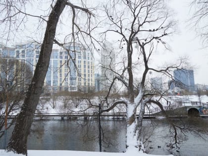 Свердловская область пережила самое теплое начало года в истории