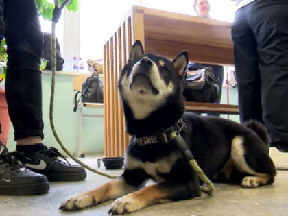 Фестиваль реабилитационных программ для людей с психическими особенностями