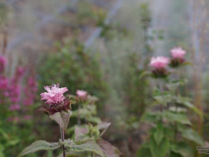 Благоустройство Екатеринбурга: новые инициативы и достижения