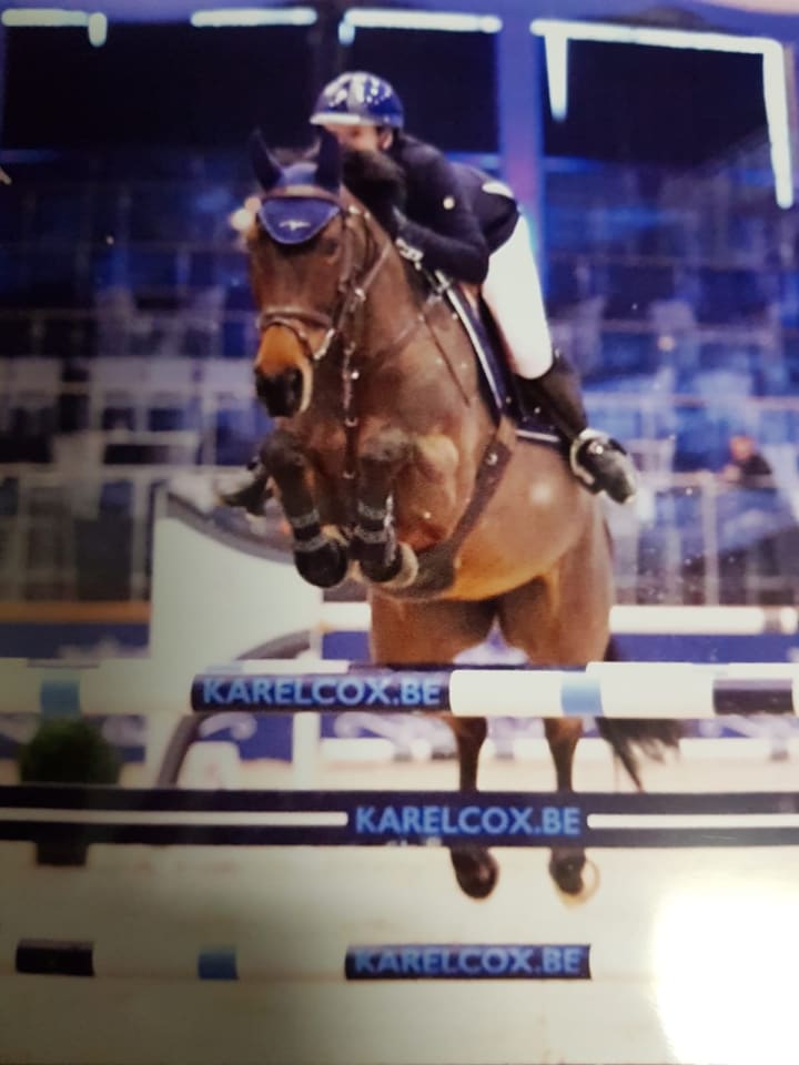 Femelle d’un an, sœur de PB Dwisty Boy Z, adjugé 200 000 € à 3 ans chez Zangersheide et étalon approuvé ! Par Django Z, mère Twisty Girl Z (1.35m). Lignée d’Urico, multiple gagnant 1.60m avec Ben Maher, d’Independent 5 (1.55m) et Big Boy 36 (1.60m).