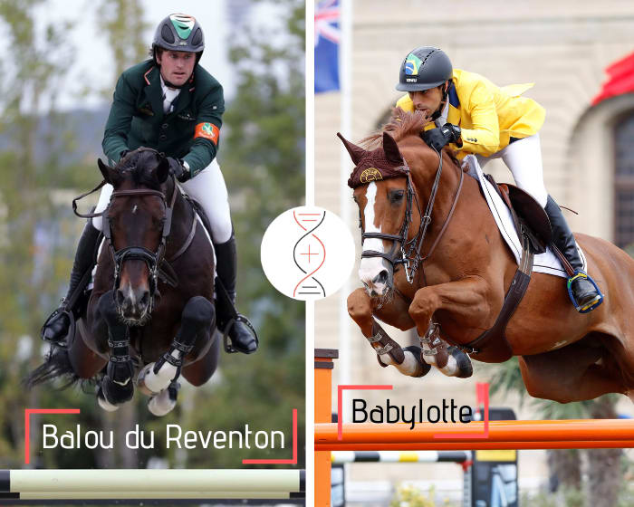 Balou du Reventon out of Yuri Mansur’s star, Babylotte, winner in CSIO5* 1.60m!