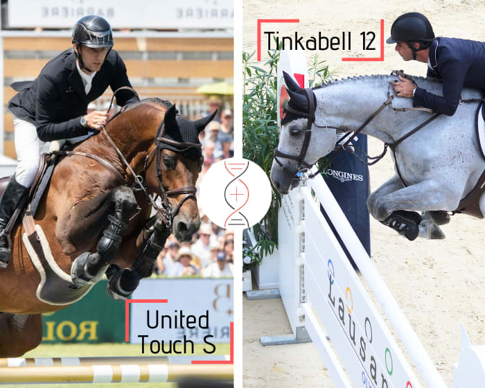 United Touch S with Tinkabell 12, clear at CSI5* 1.60m with Rodrigo Pessoa, from a damline of 1.45m–1.60m performers including BMC Miss Kenwood 1.60m!