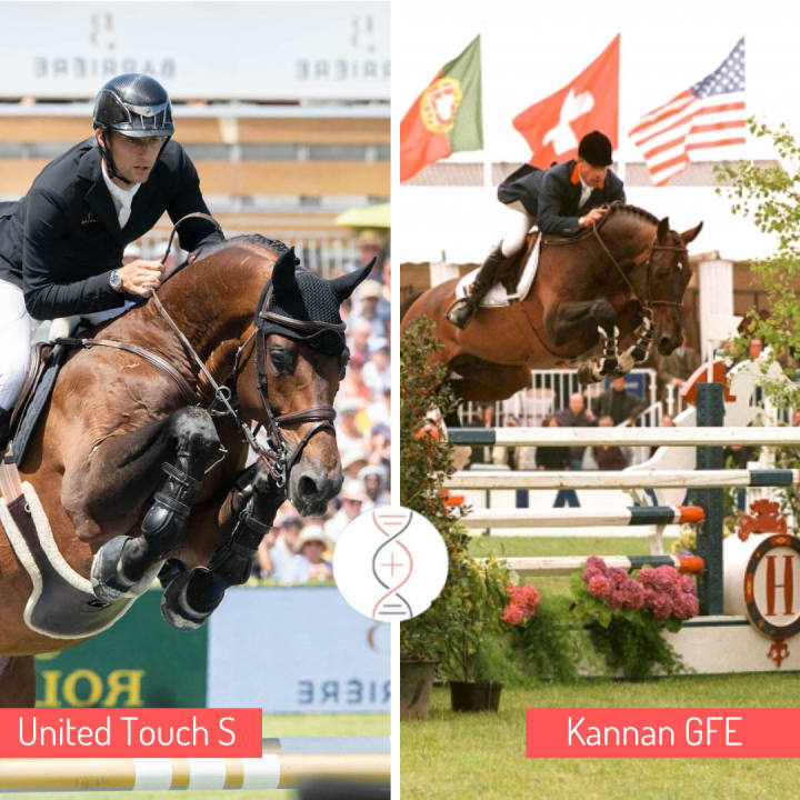 Exceptional: United Touch S x Kannan x Papillon Rouge, out of performer Kaniska de la Falize, sister to the outstanding Wariska de la Falize & Vipresake de la Falize, daughters of the exceptional Siska Rouge de la Falize!