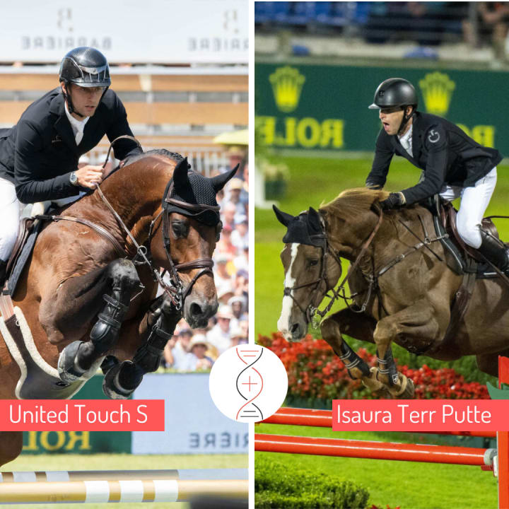 United Touch S with the sister of Elvis ter Putte 1.60m and Isaura ter Putte, 11 times ranked at 1.60m with Pieter Devos including Aachen, from a damline with 15 performers at 1.45m–1.60m. Glück is a daughter of Ukase ter Putte !