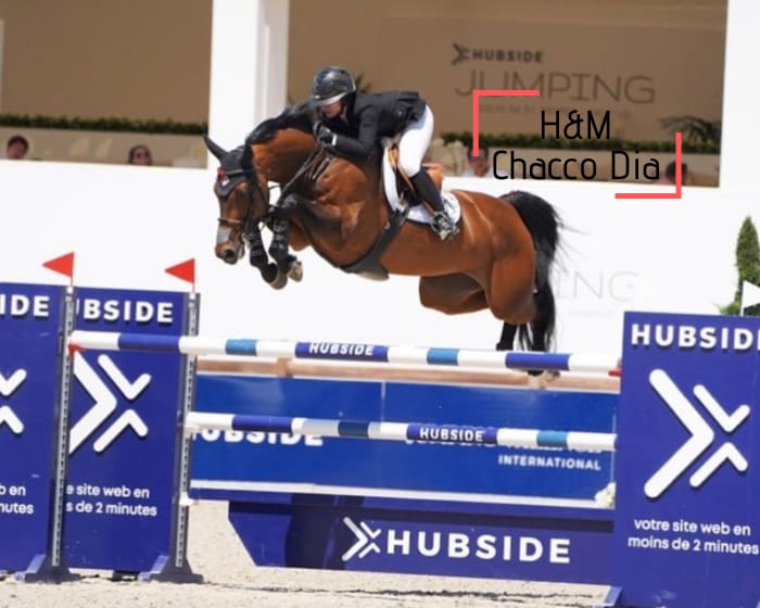 Full brother/sister of H&M Chacco Dia, CSI5* 1.60m and clear in CSIO5* 1.55m with M. Baryard-Johnsson in 2021! By Diarado x Chacco Blue x Baloubet du Rouet, out of the sister of Casper 2nd in CSI5* 1.60m, Tryon WEG and Cabanus Grand Prix CSI 1.55m