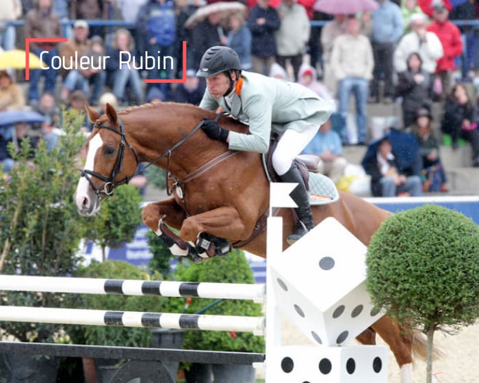 Couleur Rubin - 1 straw