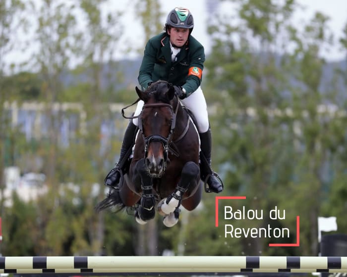 Balou du Reventon - 1 straw