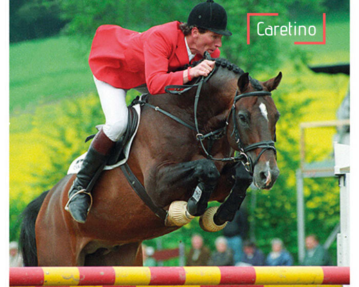 Caretino (1 paillette)