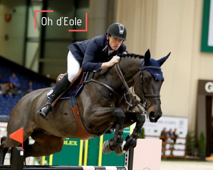 Foal to be born out of Oh d’Eole, the star of Grégory Wathelet and Kevin Staut!