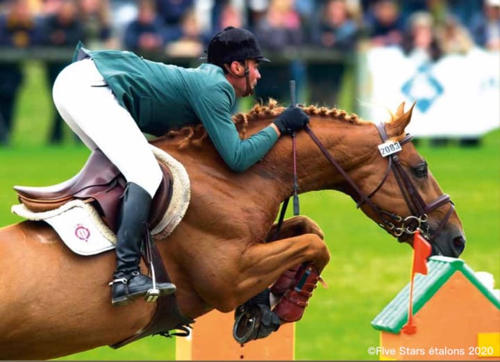 Grenat de Grez - 1 saillie intégrale (hors frais techniques)
