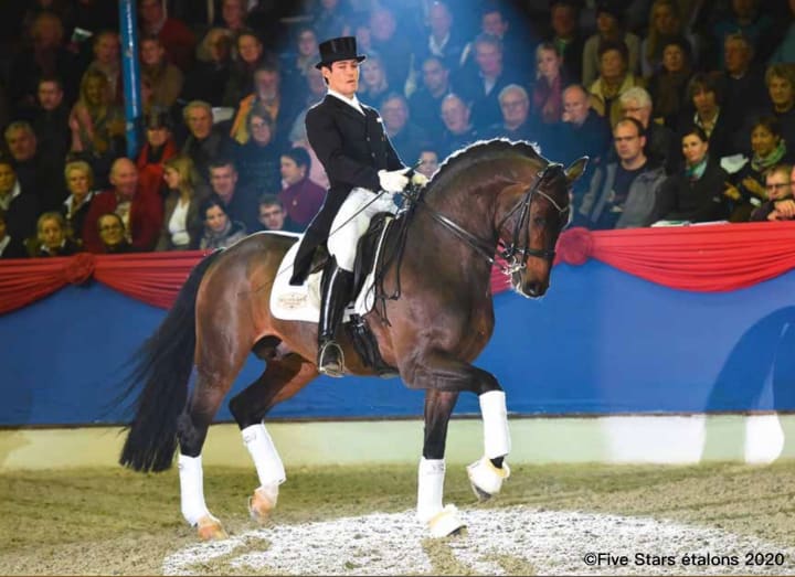 Fidertanz - 4 paillettes