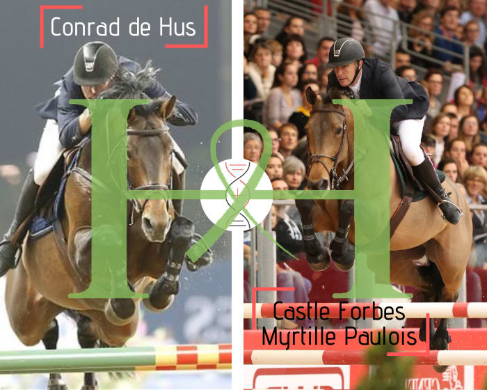 The European medalist Conrad de Hus, out of the damline of Myrtille Paulois, European Champion with Roger-Yves Bost!