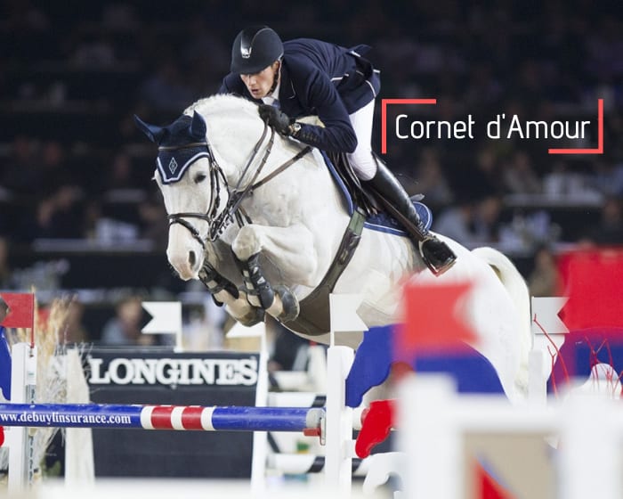 ¾ frère/sœur de Cornet d’Amour ! Cornet Obolensky avec la sœur de Cornet d’Amour gagnant en Grand Prix CSI5* 1.60m avec Daniel Deusser, et Amarit d’Amour CSI 1.55m-1.60m avec Lorenzo de Luca