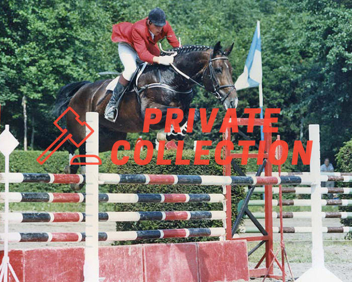 Darco - 1 paillette