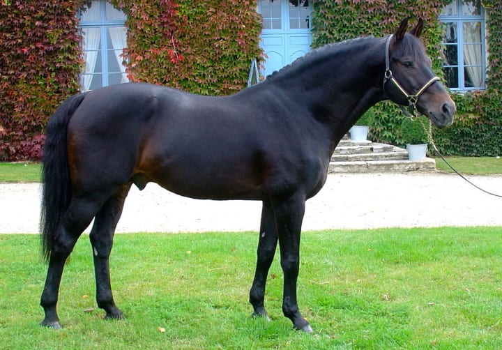 Iowa - 1 saillie intégrale en IAC (hors frais techniques)