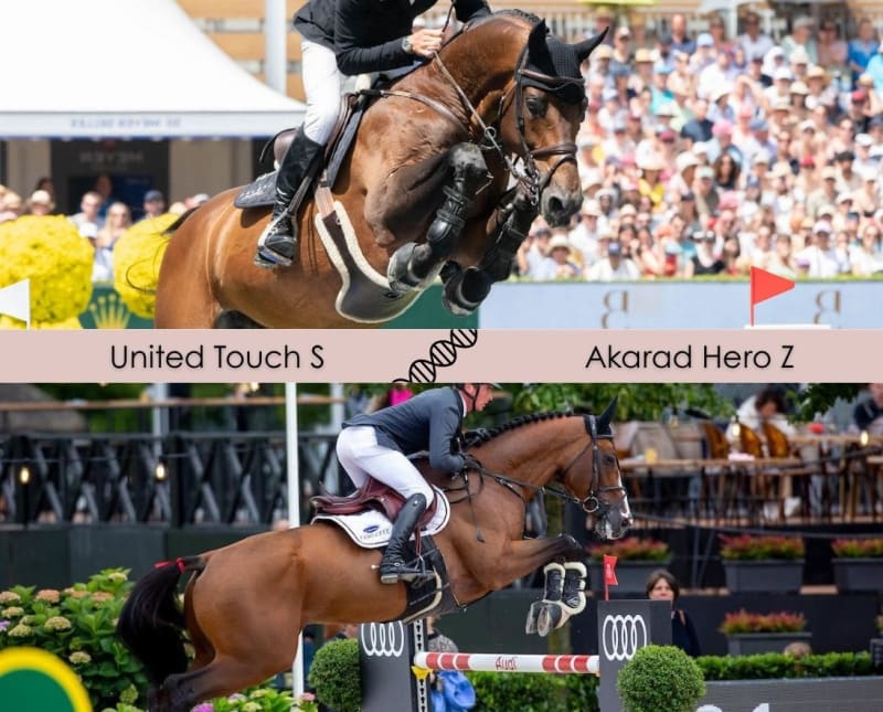 Frozen embryo United Touch S x Chiva du Rouet