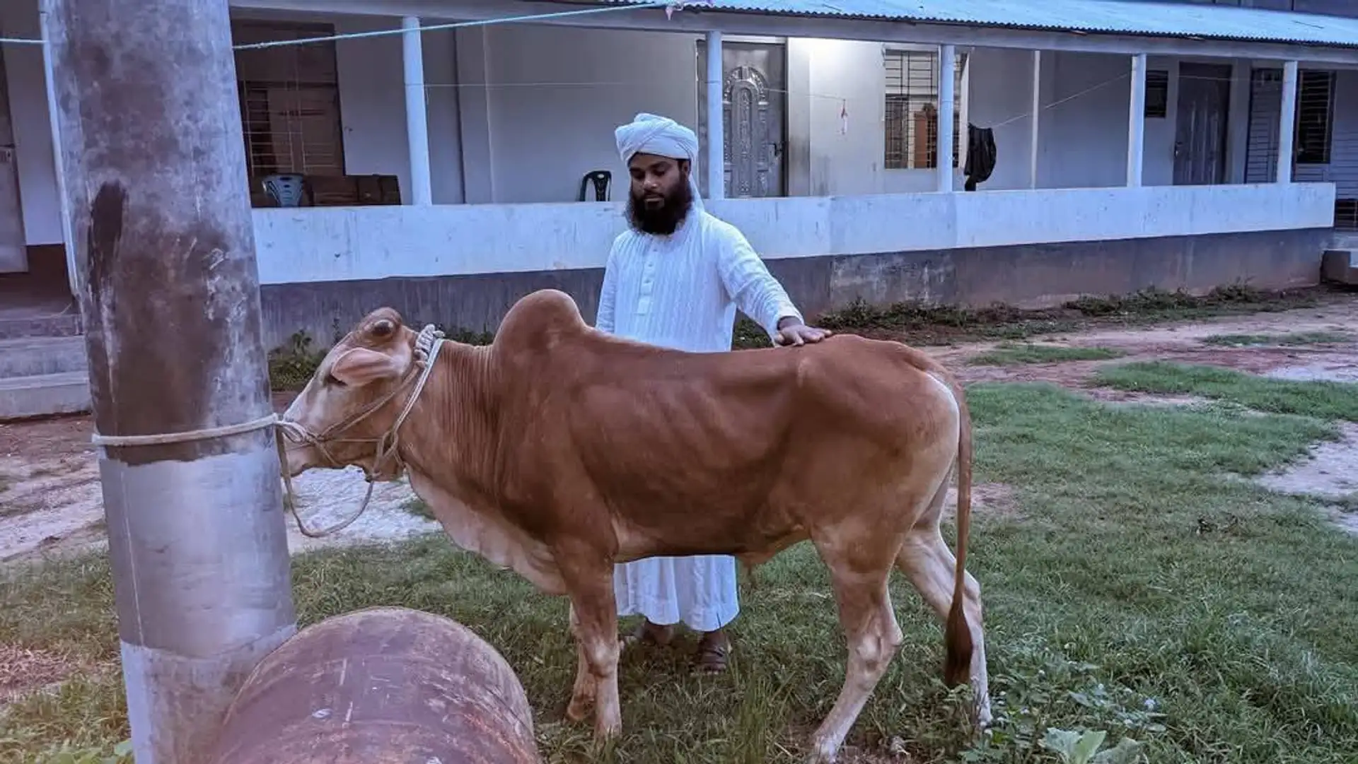 কোরবানি তহবিল