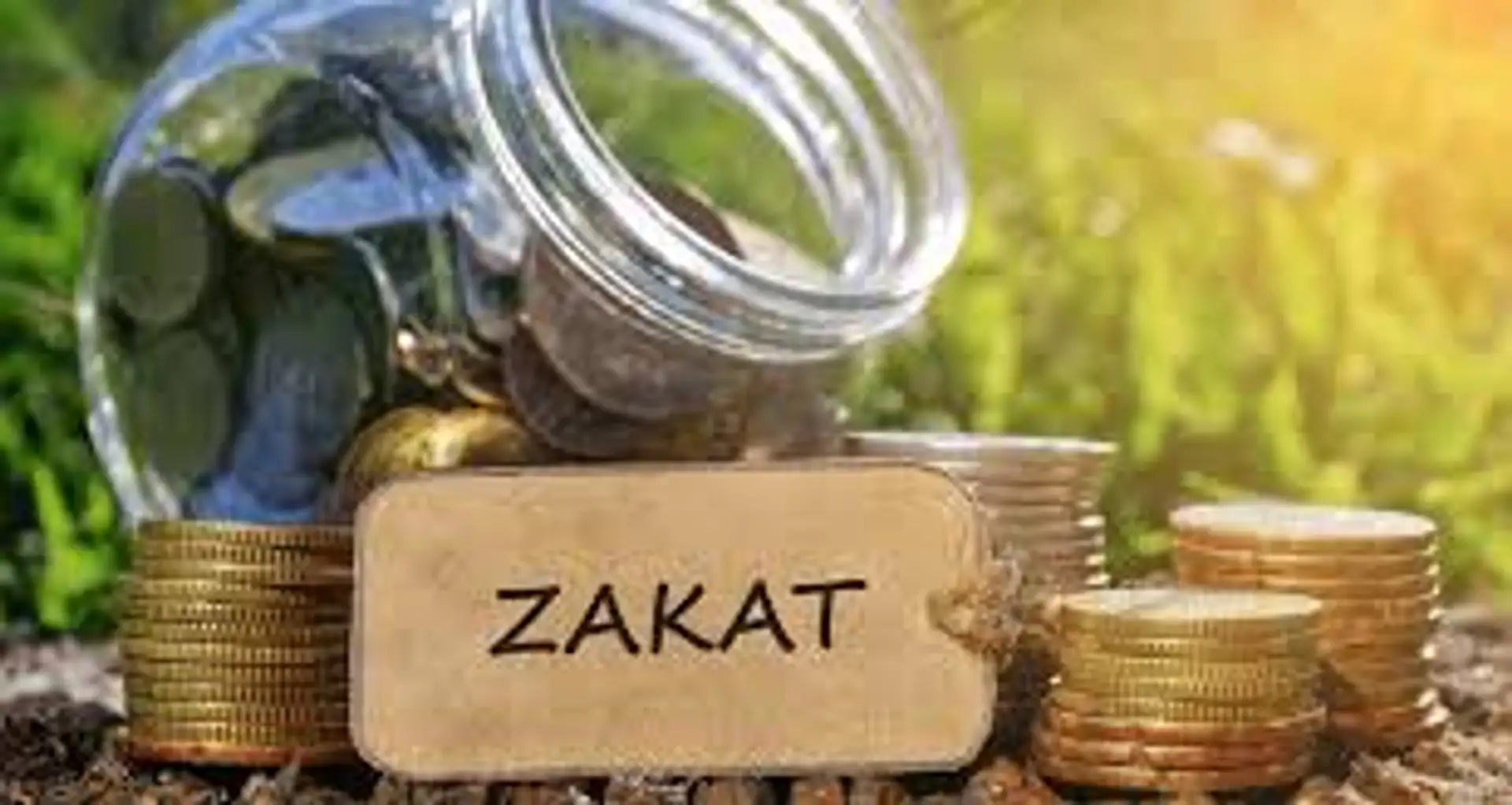 প্রাথমিক শিক্ষা কর্মসূচি