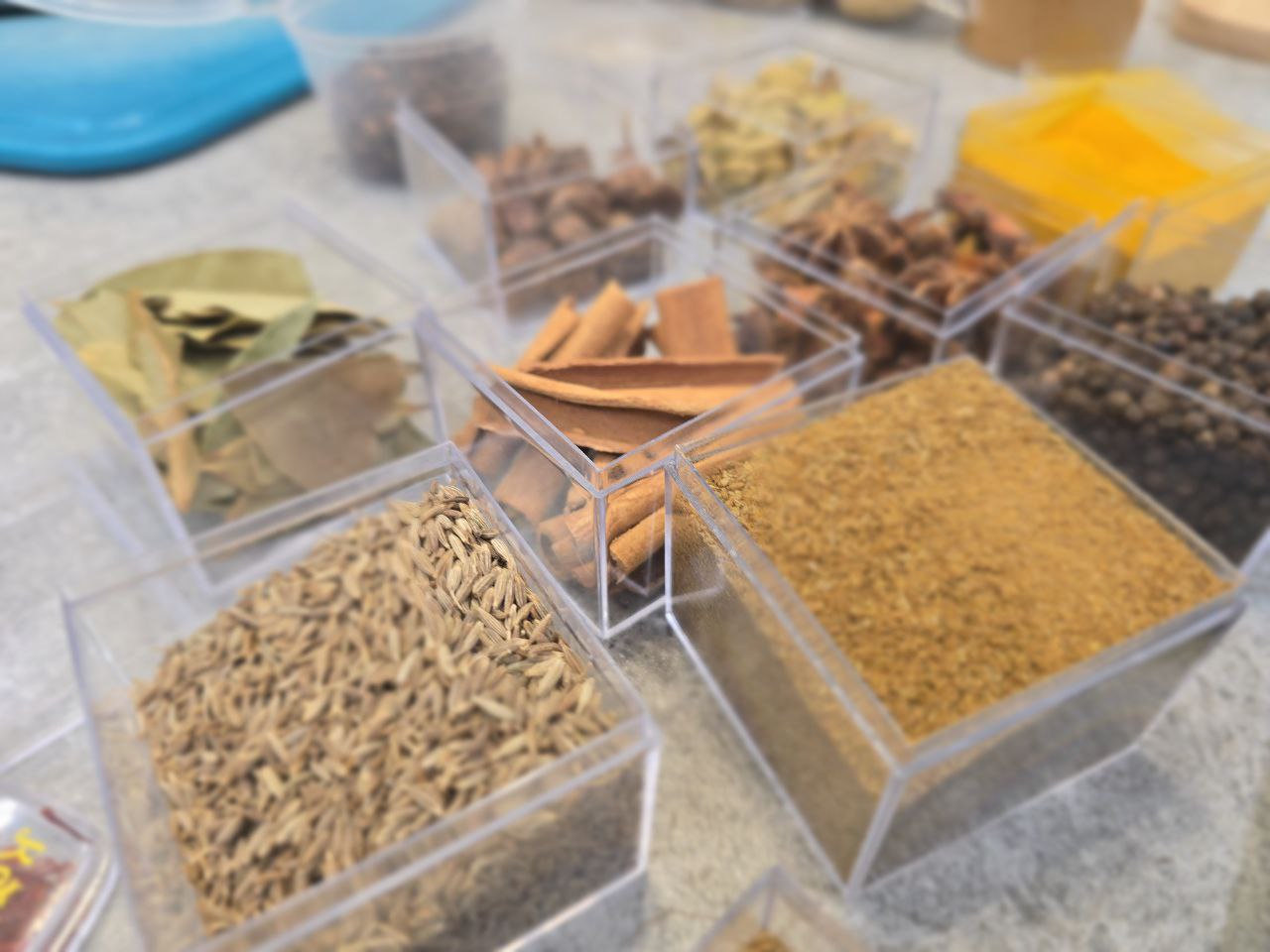 Kosher Indian food workshop: workshop