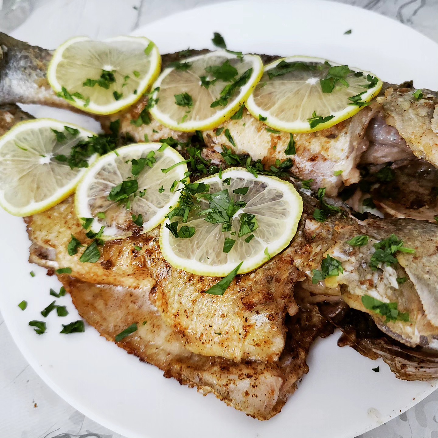 Fish 1