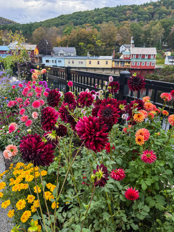 Bridgeofflowers