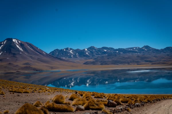 Laguna miscanti