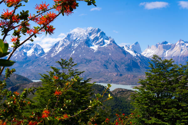 Torres del paine