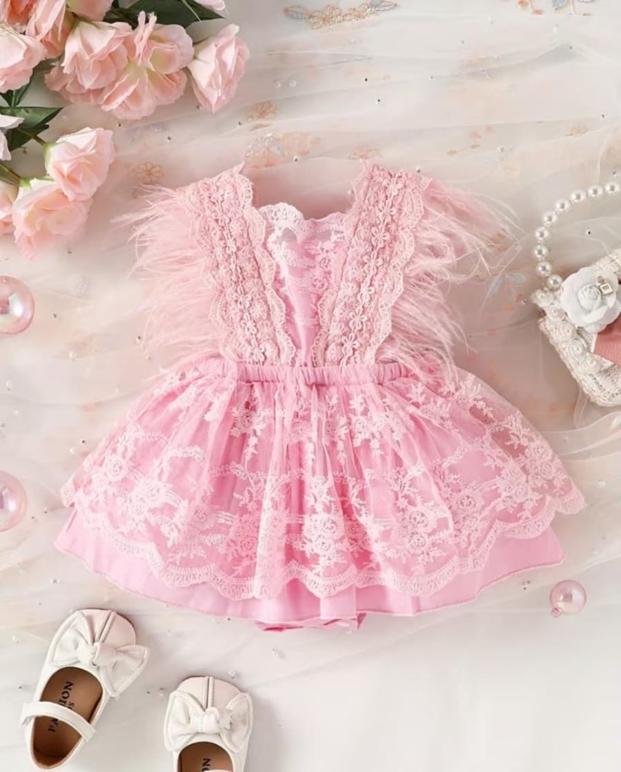 Vestido Rosa de Encaje con Plumas y Detalle Elegante