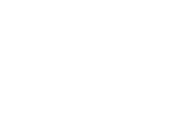 Germany Brilliant Logo