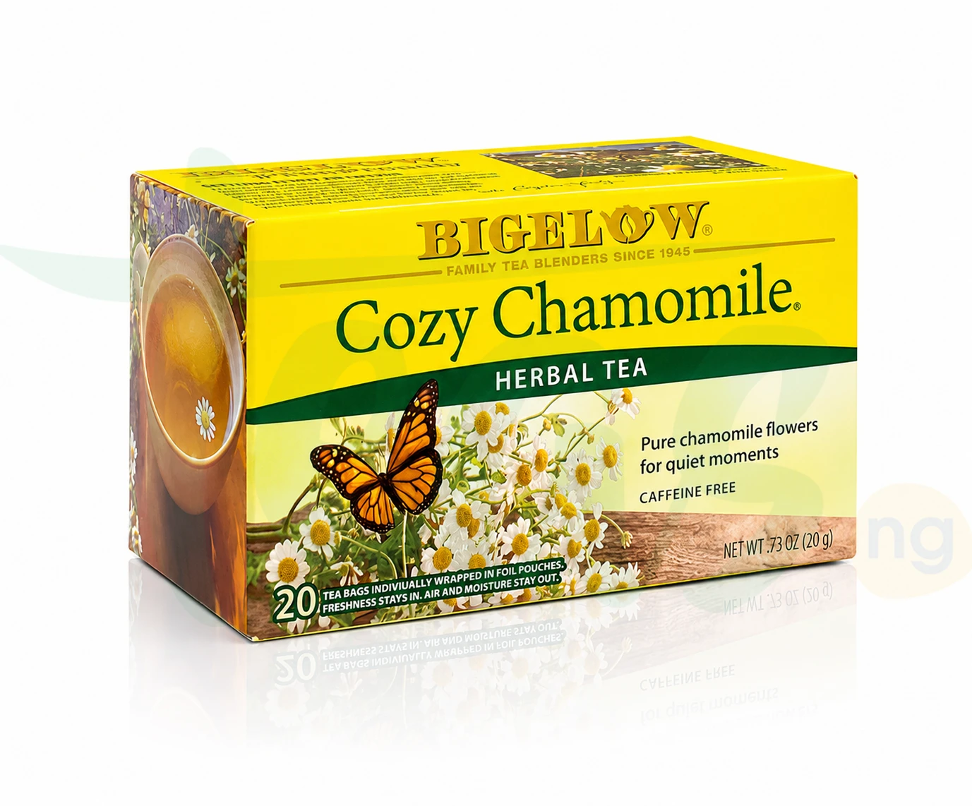 Cozy Chamomile