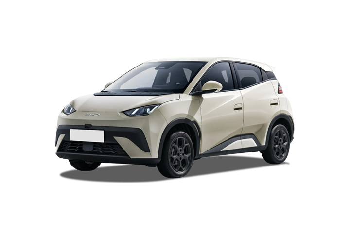 Renting BYD-Dolphin Surf-Boost